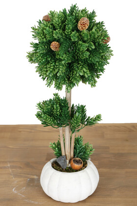 Yapay Çiçek Deposu - Küçük Kabak Saksıda Mini Çam Şimşir Ağaç