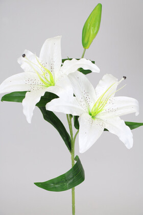 Uzun Dal Kaliteli Yapay Lilyum Zambak Çiçeği 70 cm Beyaz - Thumbnail