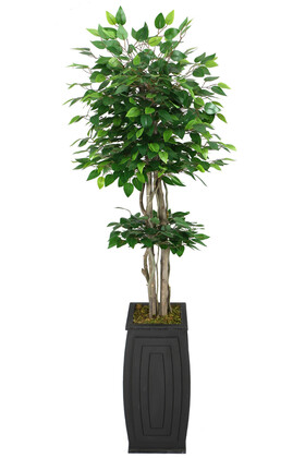Uzun Ahşap Saksıda Yapay Benjamin Ağacı 180 cm Yeşil - Thumbnail