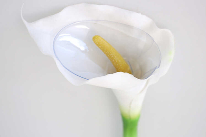 Yapay Islak Tek Dal Dev Gala Çiçeği 68 cm Beyaz - Thumbnail