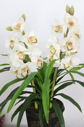 Vintage Kabartmalı Saksıda Yapay Islak Singapur Orkide 72 cm Beyaz - Thumbnail