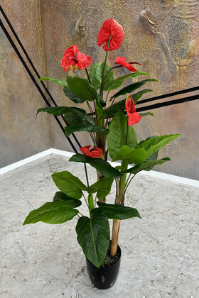 Yapay Ağaç 3 Gövdeli Antoryum 160 cm - 5
