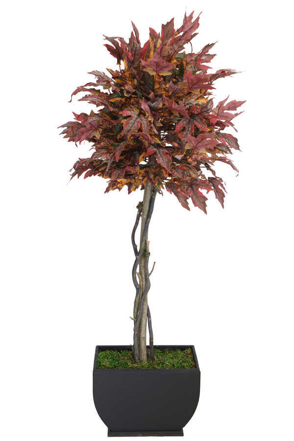 Yapay Ağaç Bodur Akçaağaç Ağacı 150cm Bordo-sarı-yeşil