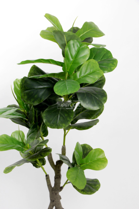 Yapay Ağac Bonsai Gövde Ficus Lyrate 120 cm - 3