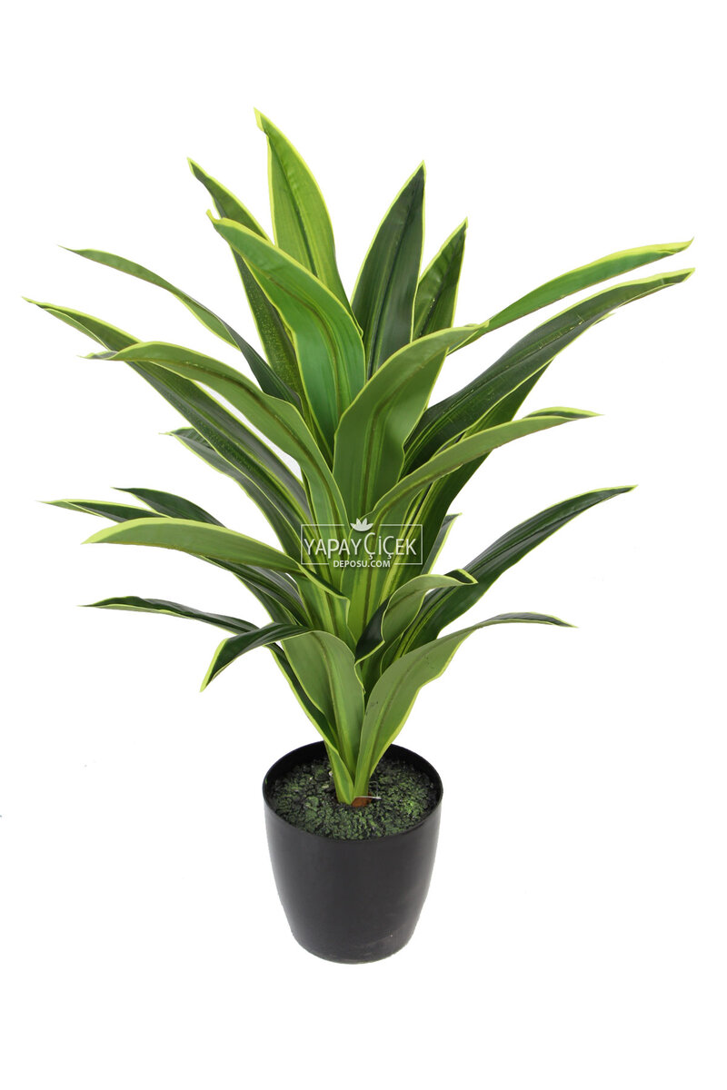 Yapay Ağaç Saksıda Dracaena 100 Cm Yeşil-sarı