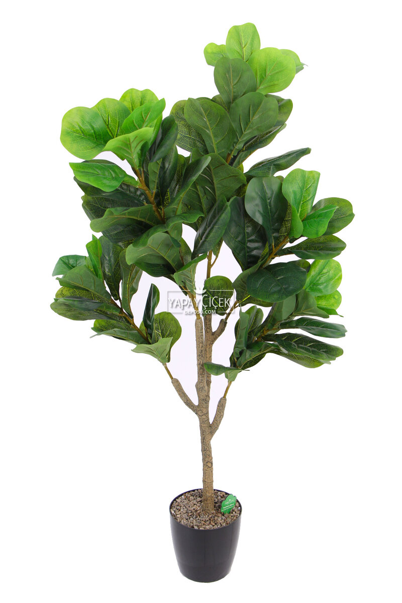 Yapay Ağac Ficus Lyrate 150 Cm
