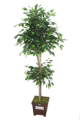 Yapay Çiçek Deposu - Yapay Ağaç Benjamin Ağacı 180 cm