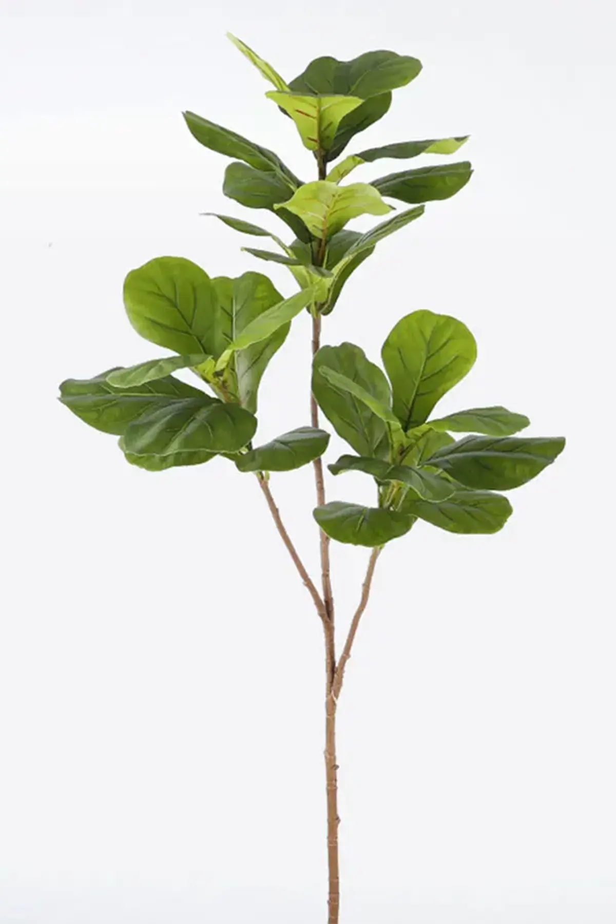 Yapay Ağac Keman Bitkisi 3 Dallı 135 Cm (saksısız)