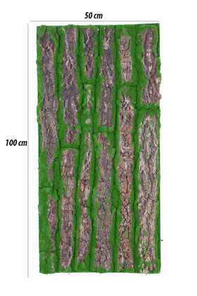 Yapay Duvar Dekoru Naturel Ağaç Kabuğu Yosun 50x100 - 2