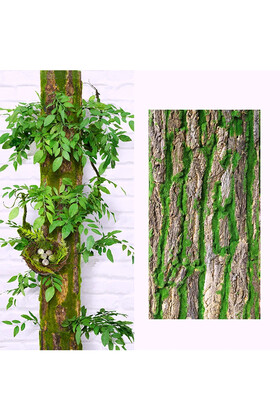 Yapay Duvar Dekoru Naturel Ağaç Kabuğu Yosun 50x100 - 4