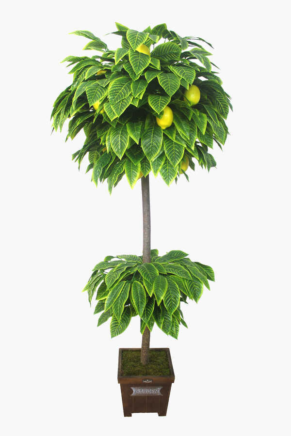 Yapay Ağaç Limon Ağacı 180 Cm