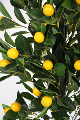 Yapay Limon Ağacı Metal Siyah-Gold Saksıda 140 cm - 2
