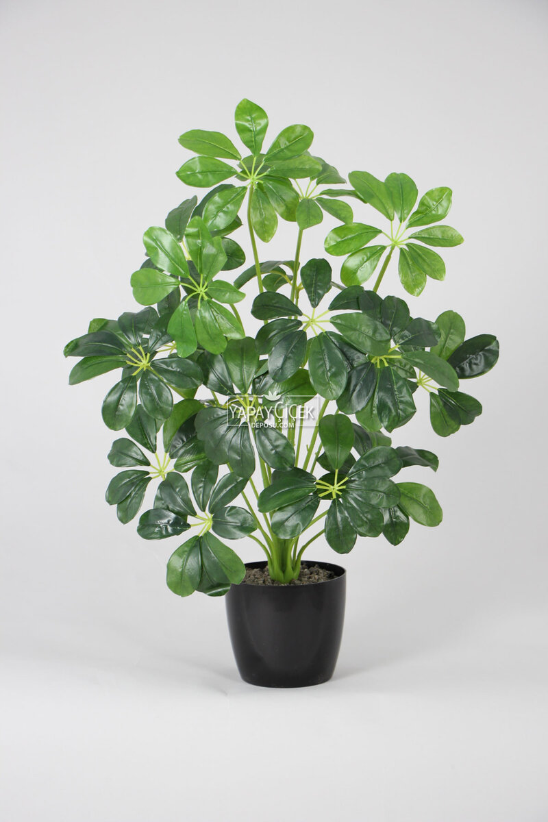 Yapay Şeflera Ağacı(schefflera Bitkisi) 18 Yapraklı Siyah Saksıda 65cm Koyu Yeşil