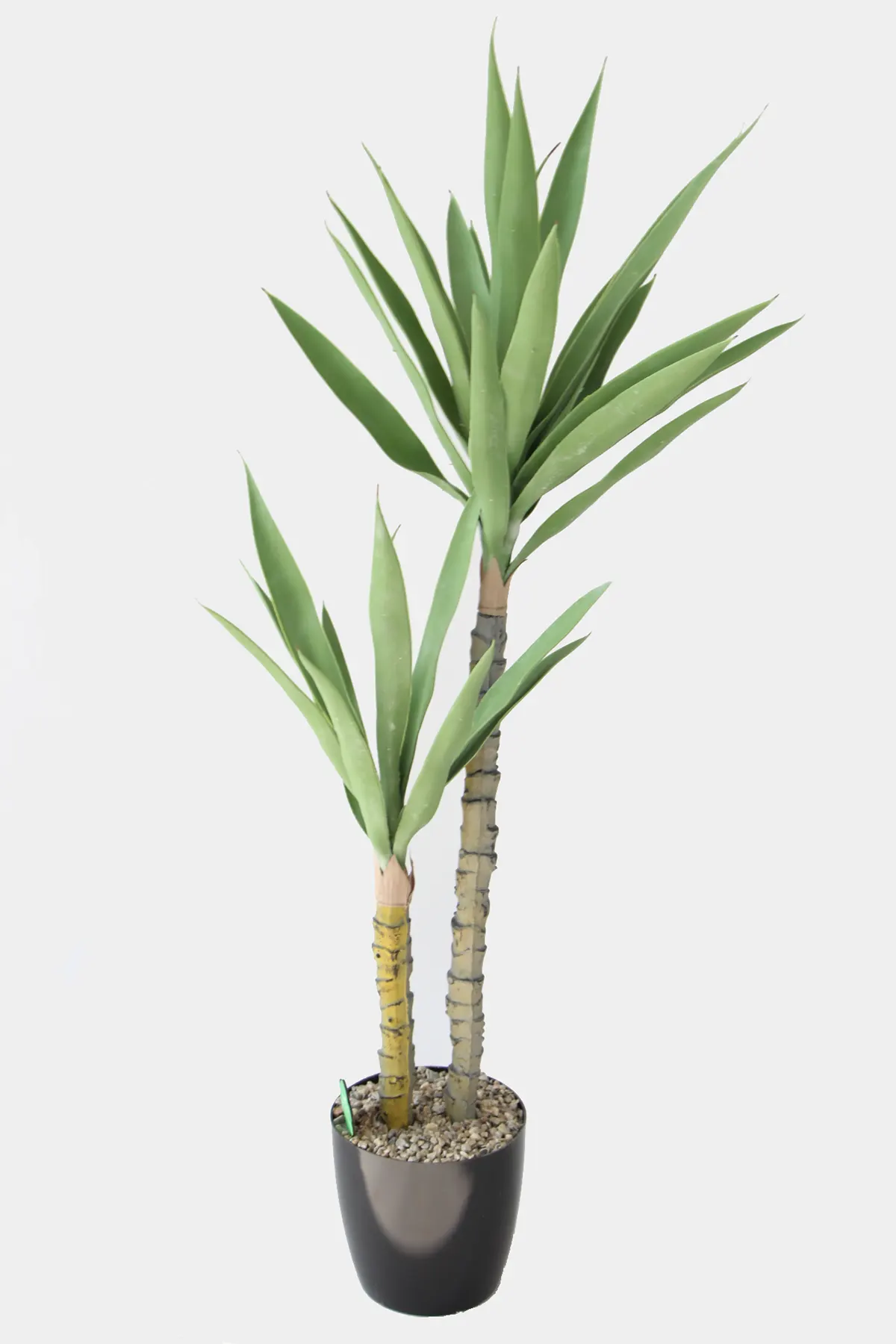 Yapay Ağaç 2 Gövdeli Agave 120 Cm Saksılı