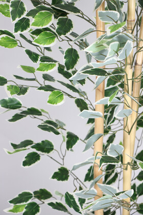 Yapay Benjamin Ağacı 155 cm 4lü Bambu Gövdeli Yeşil-Beyaz (Ahşap Antrasit Saksı) - Thumbnail