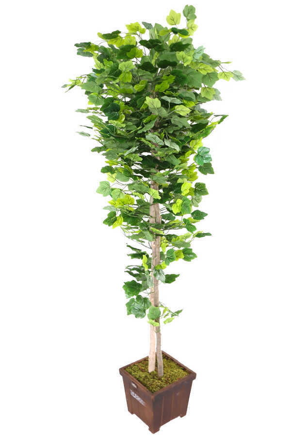 Yapay Ağaç Yeşil Yapraklı Çınar Ağacı 190 Cm