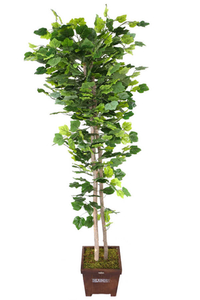 Yapay Ağaç Yeşil Yapraklı Çınar Ağacı 190 cm - Thumbnail