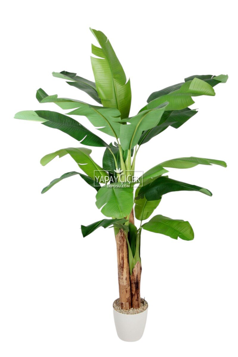 Yapay Ağaç Muz Gerçek Format 3 Gövde 190 Cm