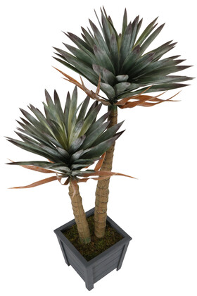 Yapay Agave Sabır Ağacı 155 cm - Thumbnail