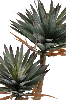 Yapay Agave Sabır Ağacı 155 cm - Thumbnail