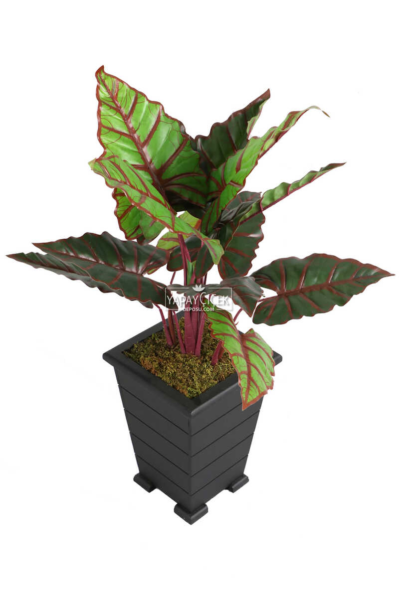 Yapay Alocasia Bitkisi Ahşap Konik Saksıda 85 Cm Yeşil-kızıl
