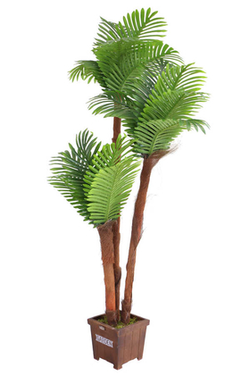 Yapay Areka Ağacı 3 Gövdeli 180cm - Thumbnail
