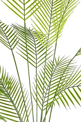 Yapay Areka Palmiyesi Ağacı 130 Cm 12 Yaprakli Saksısız - Thumbnail