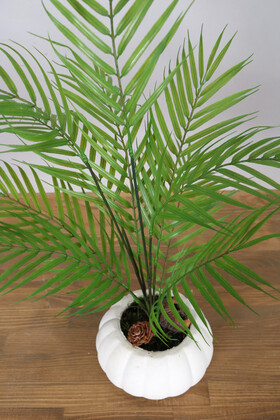 10 Yapraklı Yapay Areka Palmiyesi Ağacı 60 cm Feniks - Thumbnail