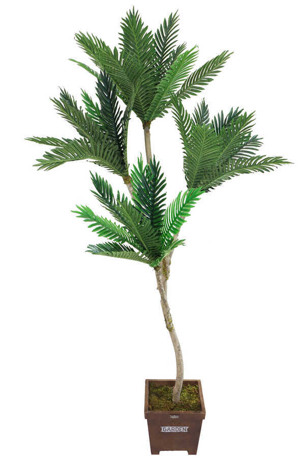 Yapay Areka Agacı 4 Gövdeli 180cm