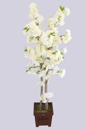 Yapay Bahar Dalı Ağacı 2 Gövdeli Beyaz 130 cm - Thumbnail