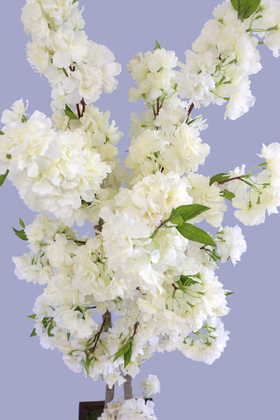 Yapay Bahar Dalı Ağacı 2 Gövdeli Beyaz 130 cm - Thumbnail