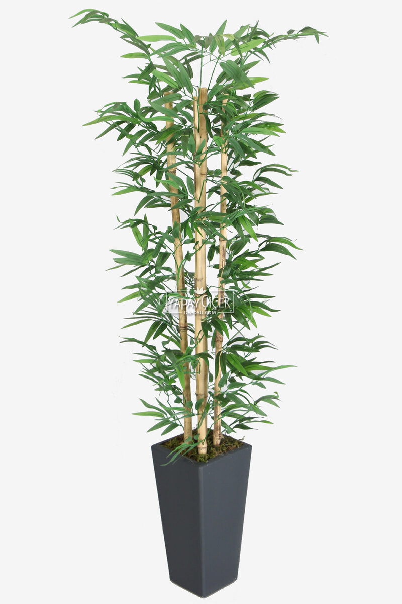 Yapay Bambu Ağacı 155 cm 4 Gövdeli Yeşil (Ahşap Antrasit Saksı)