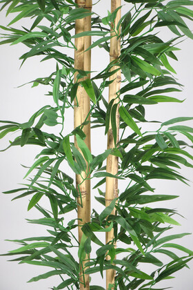 Yapay Bambu Ağacı 155 cm 4 Gövdeli Yeşil (Ahşap Antrasit Saksı) - Thumbnail