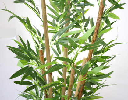 Yapay Bambu Ağacı 6 Gövde 110 cm(Beyaz Ahsap Saksı) - Thumbnail