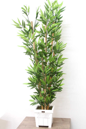 Yapay Çiçek Deposu - Yapay Bambu Ağacı 6 Gövde 140 cm(Beyaz Ahsap Saksı)