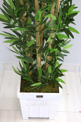 Yapay Bambu Ağacı 6 Gövde 180 cm Beyaz Ahşap Saksıda Model12 - Thumbnail