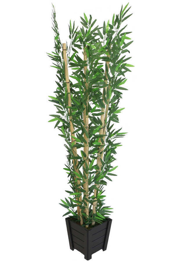 Yapay Bambu Ağacı 6 Gövde 180 cm Lüx Siyah Ahşap Saksılı Model 17