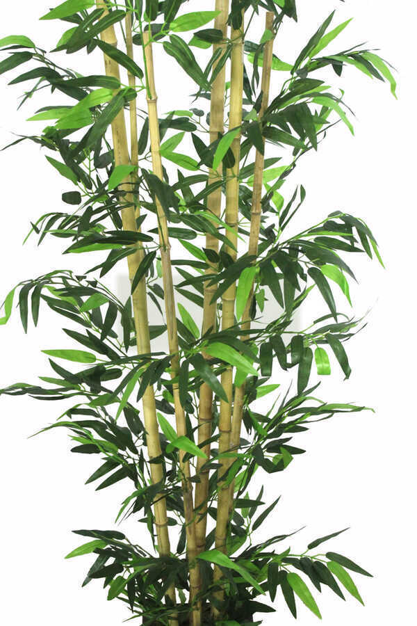 Yapay Bambu Ağacı 6 Gövde 180 cm Model4