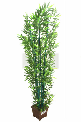 Yapay Bambu Ağacı 6 Gövde Yeşil Renk Bambulu 180 cm (Model15) - Thumbnail