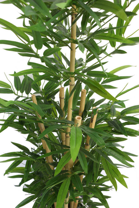 Yapay Bambu Ağacı 7 Gövdeli 160 cm Model 25 - Thumbnail
