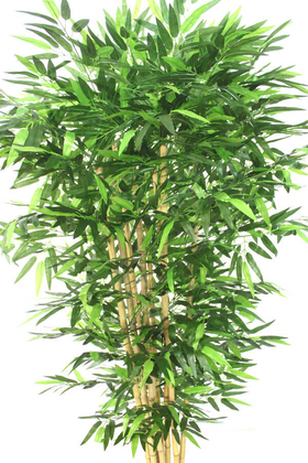 Yapay Bambu Ağacı 8 Gövde 190 cm - Thumbnail