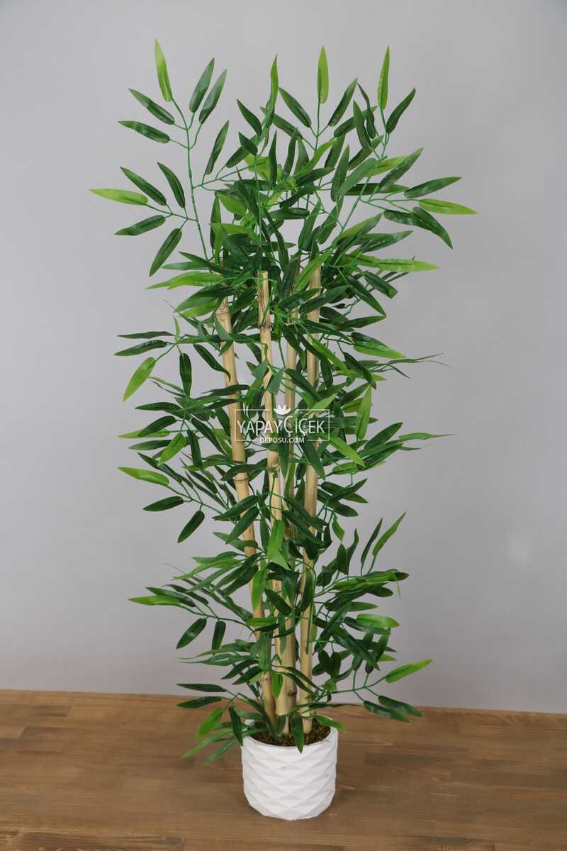 Beton Saksıda Bambu Ağacı Koyu Yeşil 110 cm