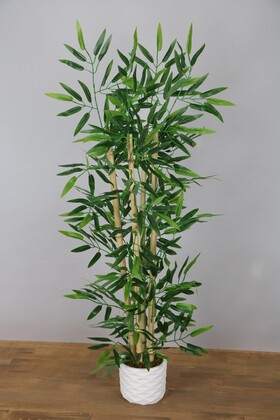 Beton Saksıda Bambu Ağacı Koyu Yeşil 110 cm - Thumbnail