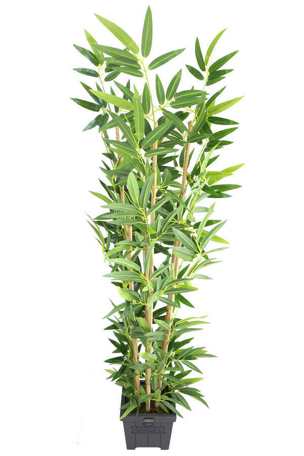 Yapay Bambu Ağacı Premium Kalite 170cm 6 Gövdeli Ahşap Saksılı Antrasit Mavi