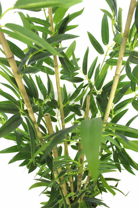 Yapay Bambu Ağacı Premium Kalite 170cm 6 Gövdeli - Thumbnail