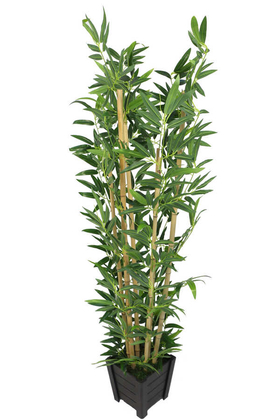 Yapay Bambu Ağacı Premium Kalite Lüx Siyah Ahşap Saksıda 190cm 6 Gövdeli (Model 19) - Thumbnail