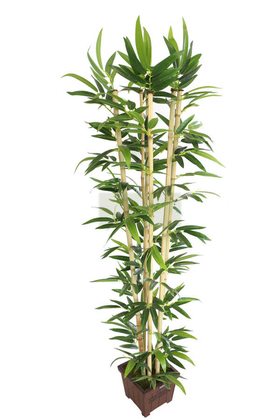 Yapay Çiçek Deposu - Yapay Bambu Ağacı Tekli Premium Yapraklı 170cm 6 Gövdeli