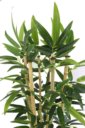 Yapay Bambu Ağacı Tekli Premium Yapraklı 170cm 6 Gövdeli - Thumbnail