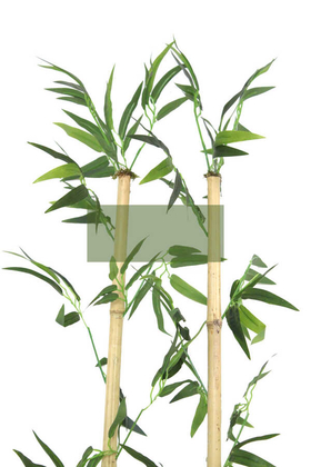 220cm Yapay 18Dal Yapraklı Doğal Bambu Tip5 - Thumbnail