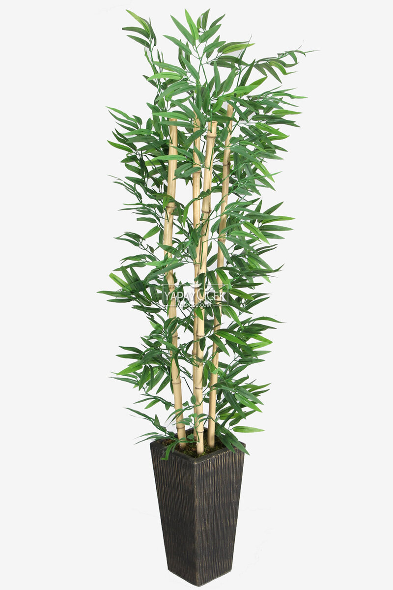 Yapay Bambu Ağacı 155 cm 4 Gövdeli Yeşil (Ahşap Siyah Gold-Saksı)